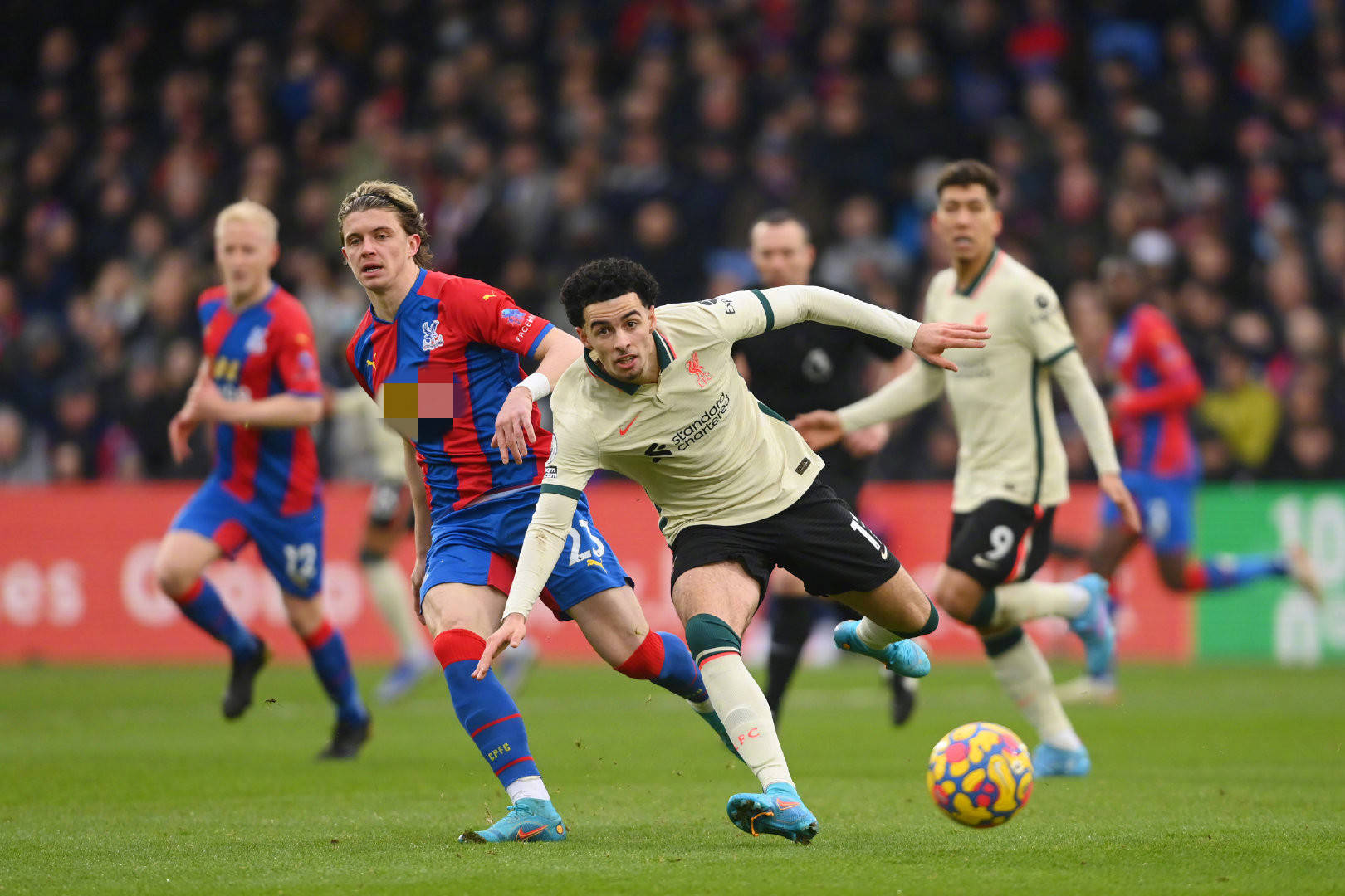 来自细节的 来自细节的